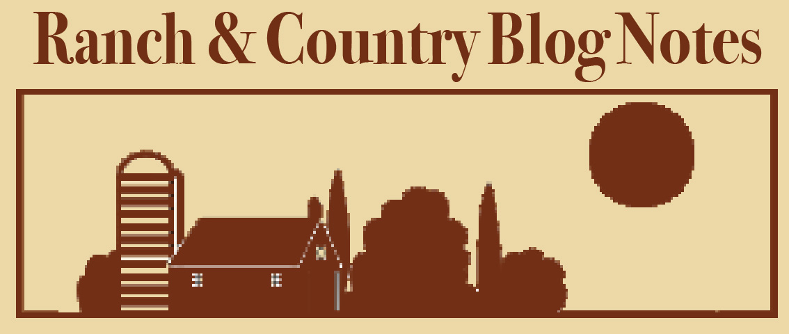 Blog Notes
